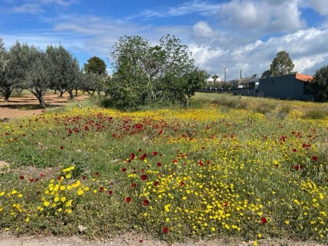 Socratous House Villa Salamis Buitenkant foto